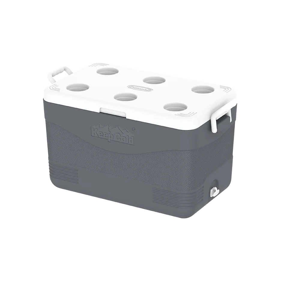 Cosmoplast CP1061 60L KeepCold Picnic Icebox - Grey