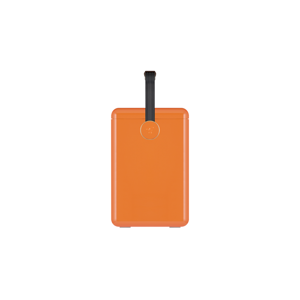 Gin Trunk / Orchard Orange