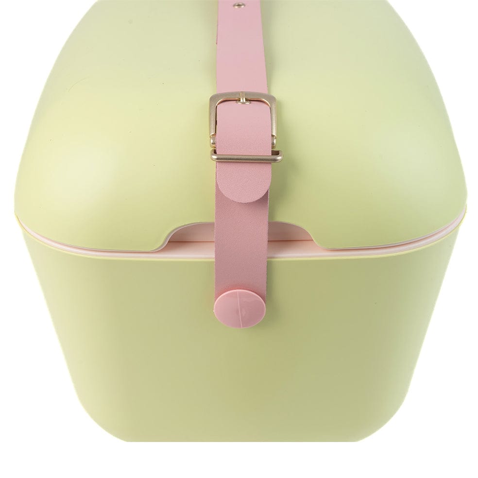Polarbox Retro Cooler Box 12L | 20L Lime and Rosa