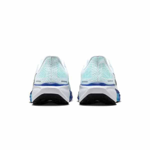 Nike Pegasus 41 White/Black