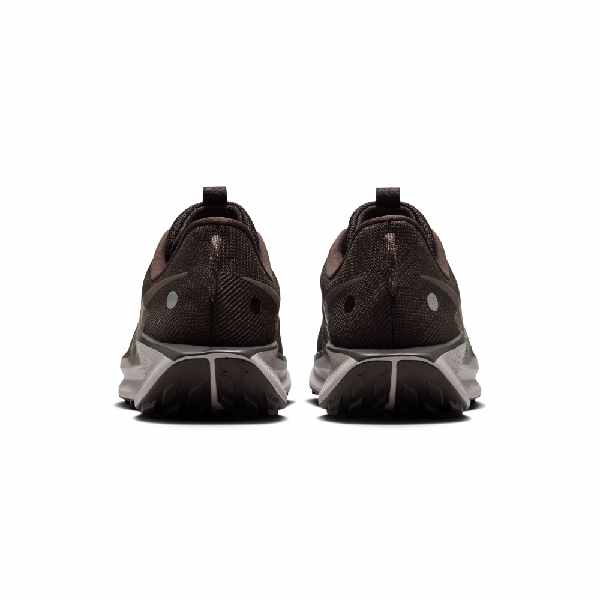 Nike Pegasus Trail 5